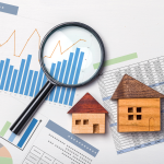 Local Market Insights- Tour Homes 247